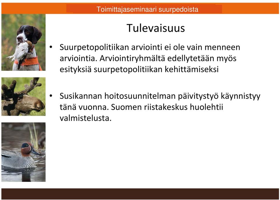 Arviointiryhmältä edellytetään myös esityksiä suurpetopolitiikan