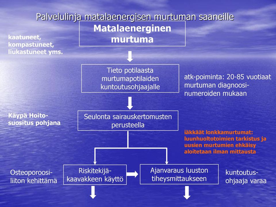 Hoitosuositus pohjana Seulonta sairauskertomusten perusteella iäkkäät lonkkamurtumat: luunhuoltotoimien tarkistus ja uusien