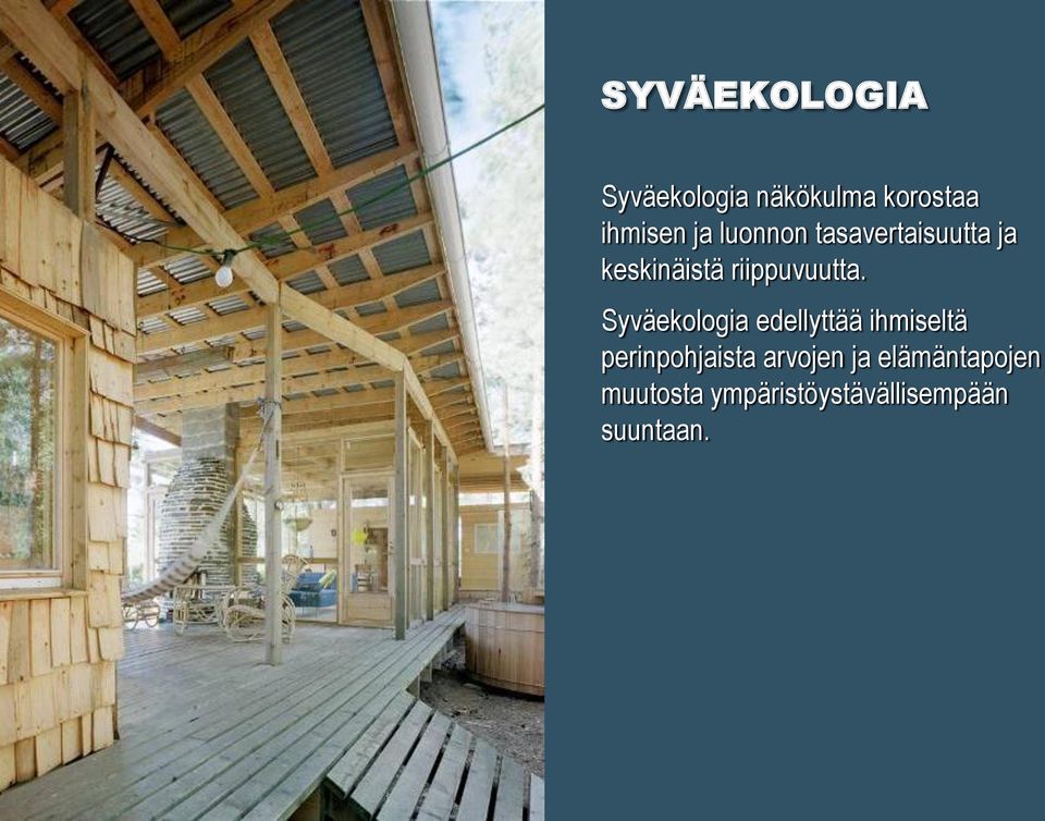 Syväekologia edellyttää ihmiseltä perinpohjaista arvojen