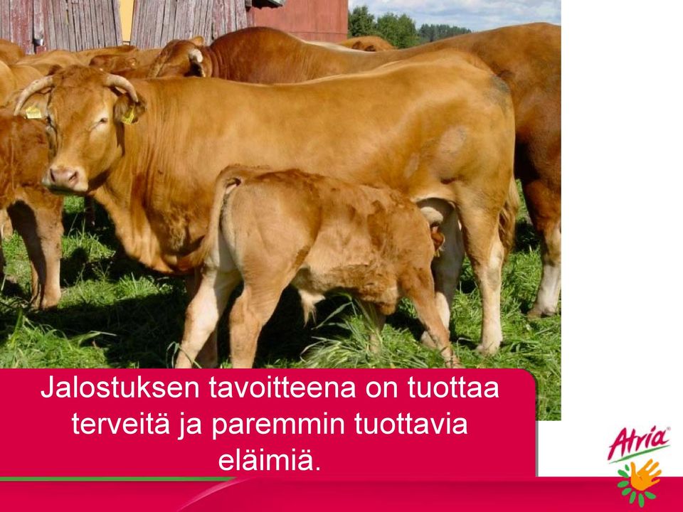 tuottaa terveitä