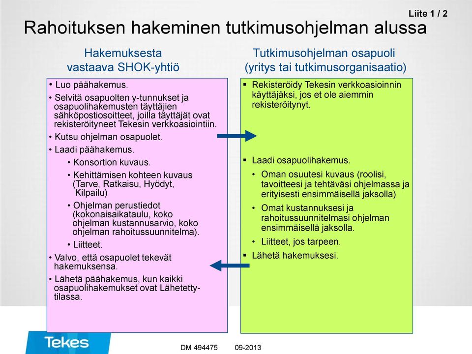 Konsortion kuvaus. Kehittämisen kohteen kuvaus (Tarve, Ratkaisu, Hyödyt, Kilpailu) Ohjelman perustiedot (kokonaisaikataulu, koko ohjelman kustannusarvio, koko ohjelman rahoitussuunnitelma). Liitteet.