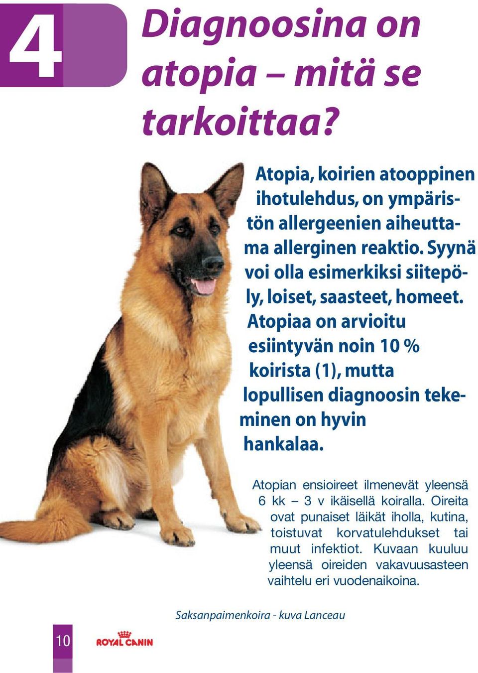 Atopiaa on arvioitu esiintyvän noin 10 % koirista (1), mutta lopullisen diagnoosin tekeminen on hyvin hankalaa.