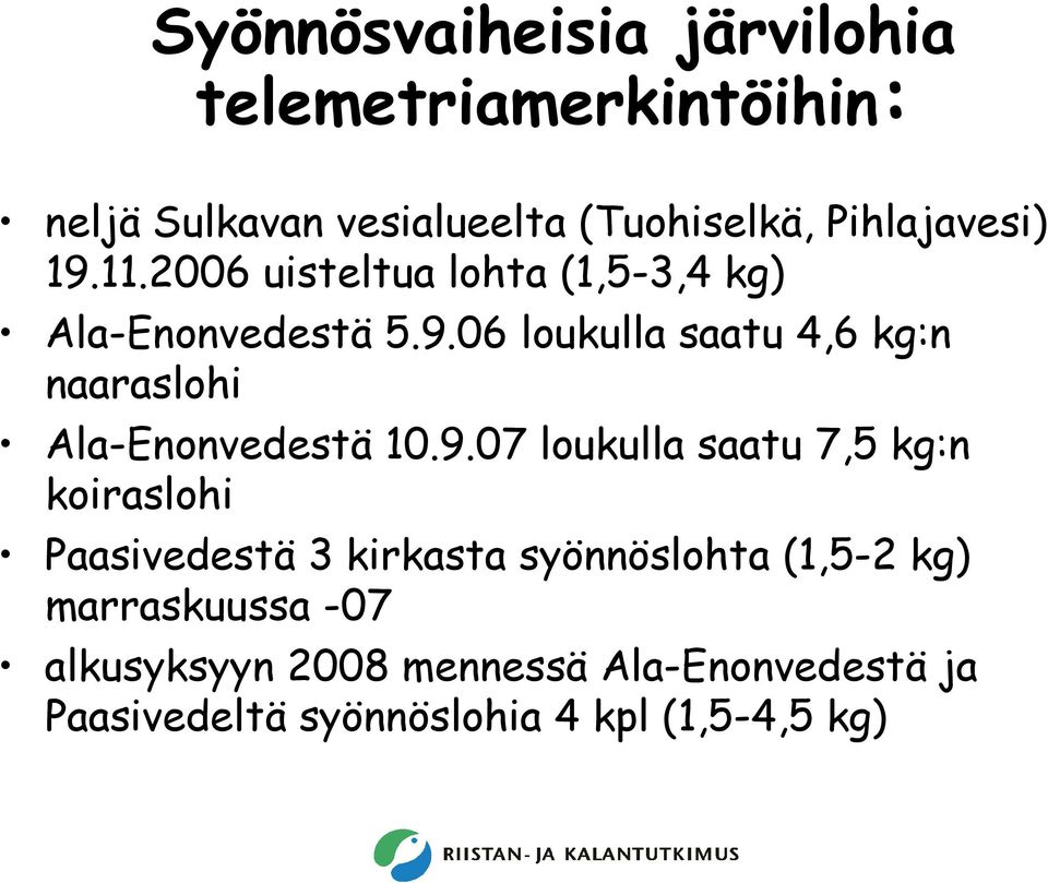 9.07 loukulla saatu 7,5 kg:n koiraslohi Paasivedestä 3 kirkasta syönnöslohta (1,5-2 kg) marraskuussa -07