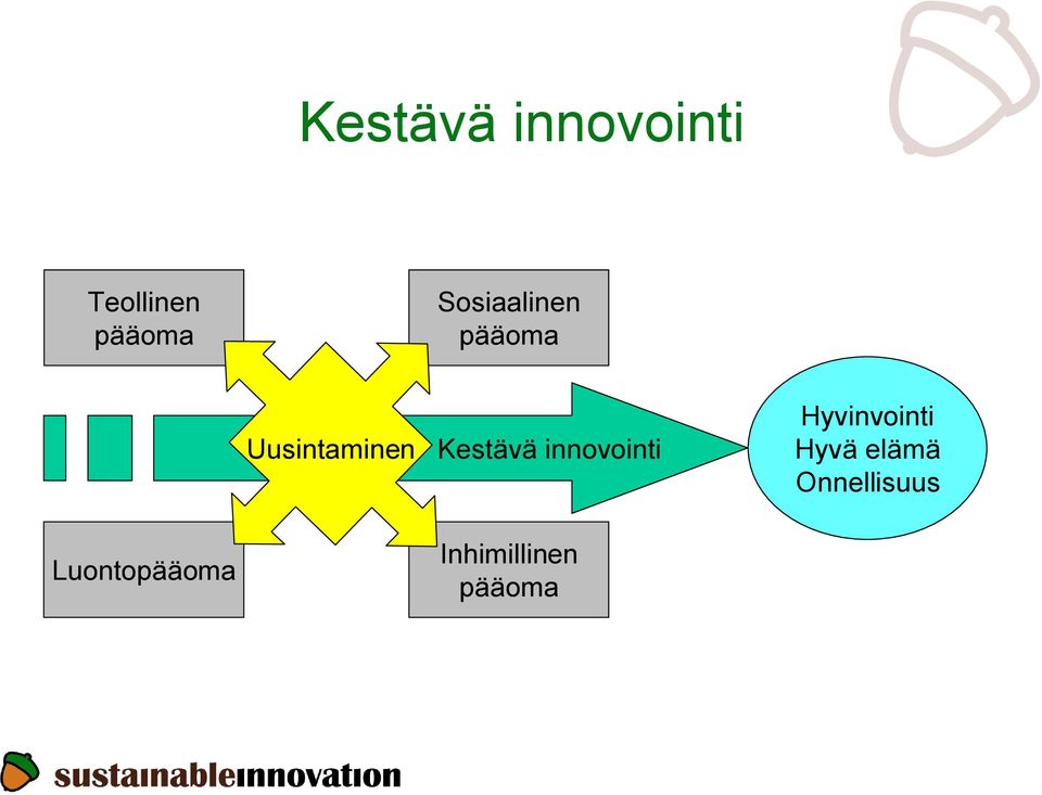 Kestävä innovointi Hyvinvointi Hyvä