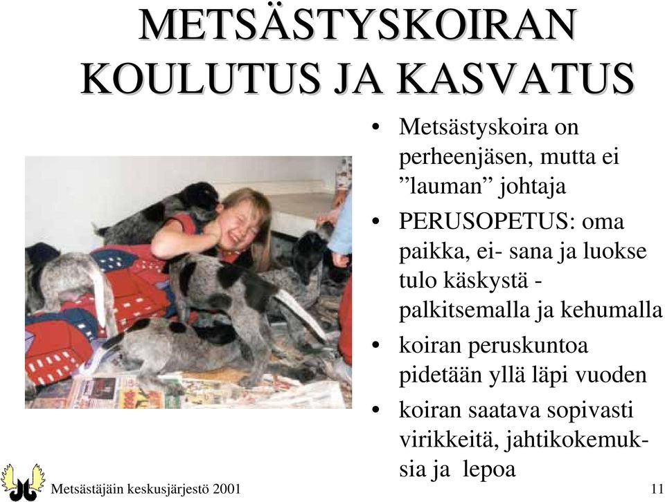 palkitsemalla ja kehumalla koiran peruskuntoa pidetään yllä läpi vuoden koiran