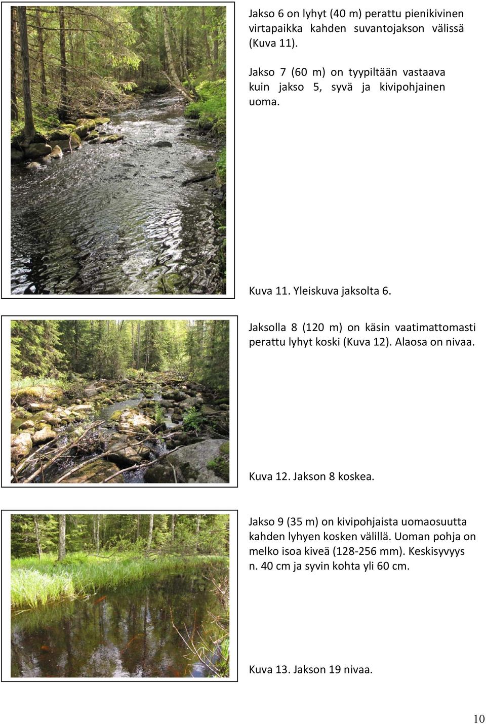 Jaksolla 8 (120 m) on käsin vaatimattomasti perattu lyhyt koski (Kuva 12). Alaosa on nivaa. Kuva 12. Jakson 8 koskea.