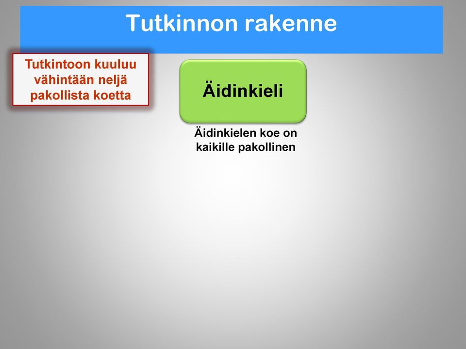pakollista koetta Äidinkieli