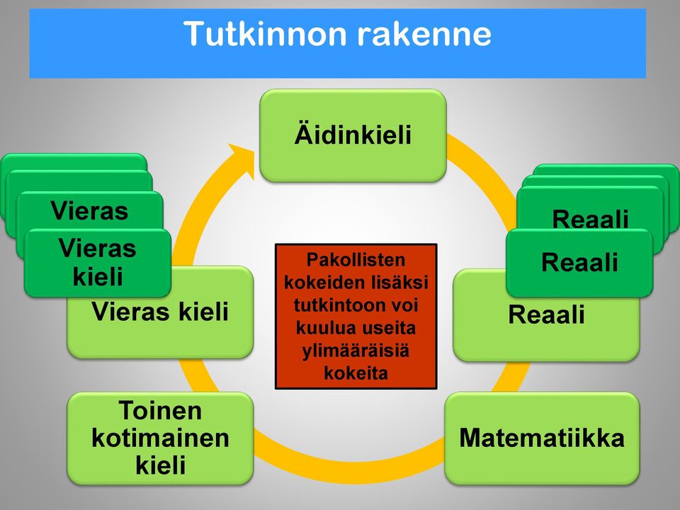 kokeiden lisäksi tutkintoon voi kuulua useita