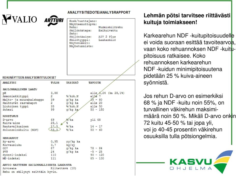 Koko rehuannoksen karkearehun NDF -kuidun minimipitoisuutena pidetään 25 % kuiva-aineen syönnistä.