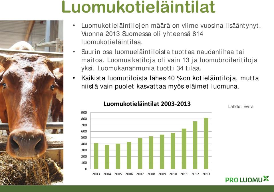 Suurin osa luomueläintiloista tuottaa naudanlihaa tai maitoa.