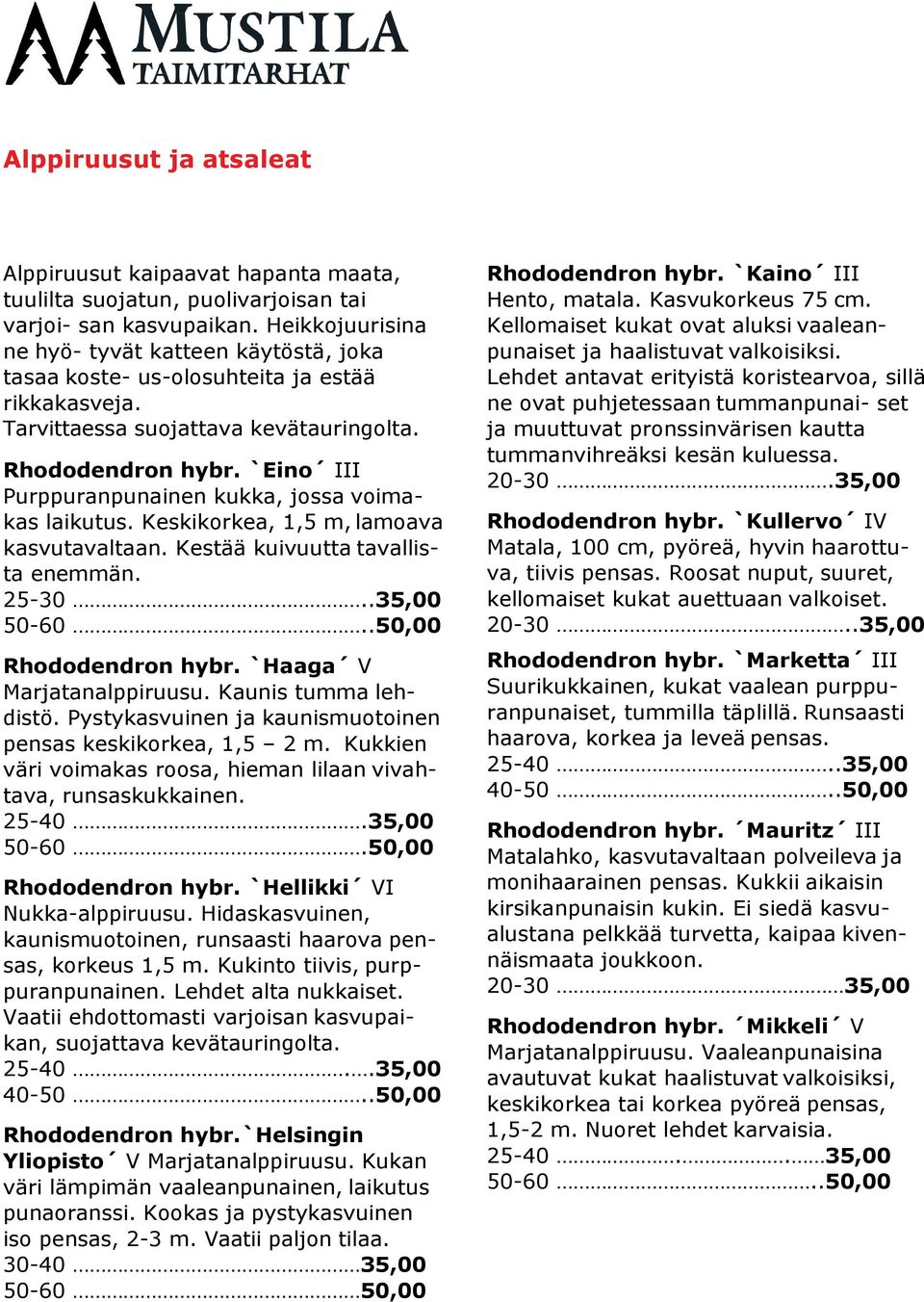 `Eino III Purppuranpunainen kukka, jossa voimakas laikutus. Keskikorkea, 1,5 m, lamoava kasvutavaltaan. Kestää kuivuutta tavallista enemmän. 25-30..35,00 50-60..50,00 Rhododendron hybr.