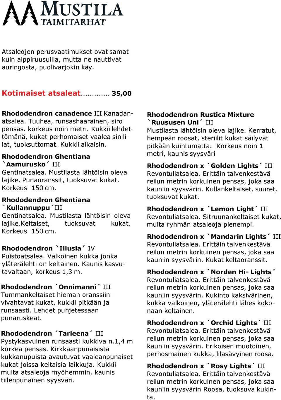 Mustilasta lähtöisin oleva lajike. Punaoranssit, tuoksuvat kukat. Korkeus 150 cm. Rhododendron Ghentiana `Kullannuppu III Gentinatsalea. Mustilasta lähtöisin oleva lajike.keltaiset, tuoksuvat kukat.