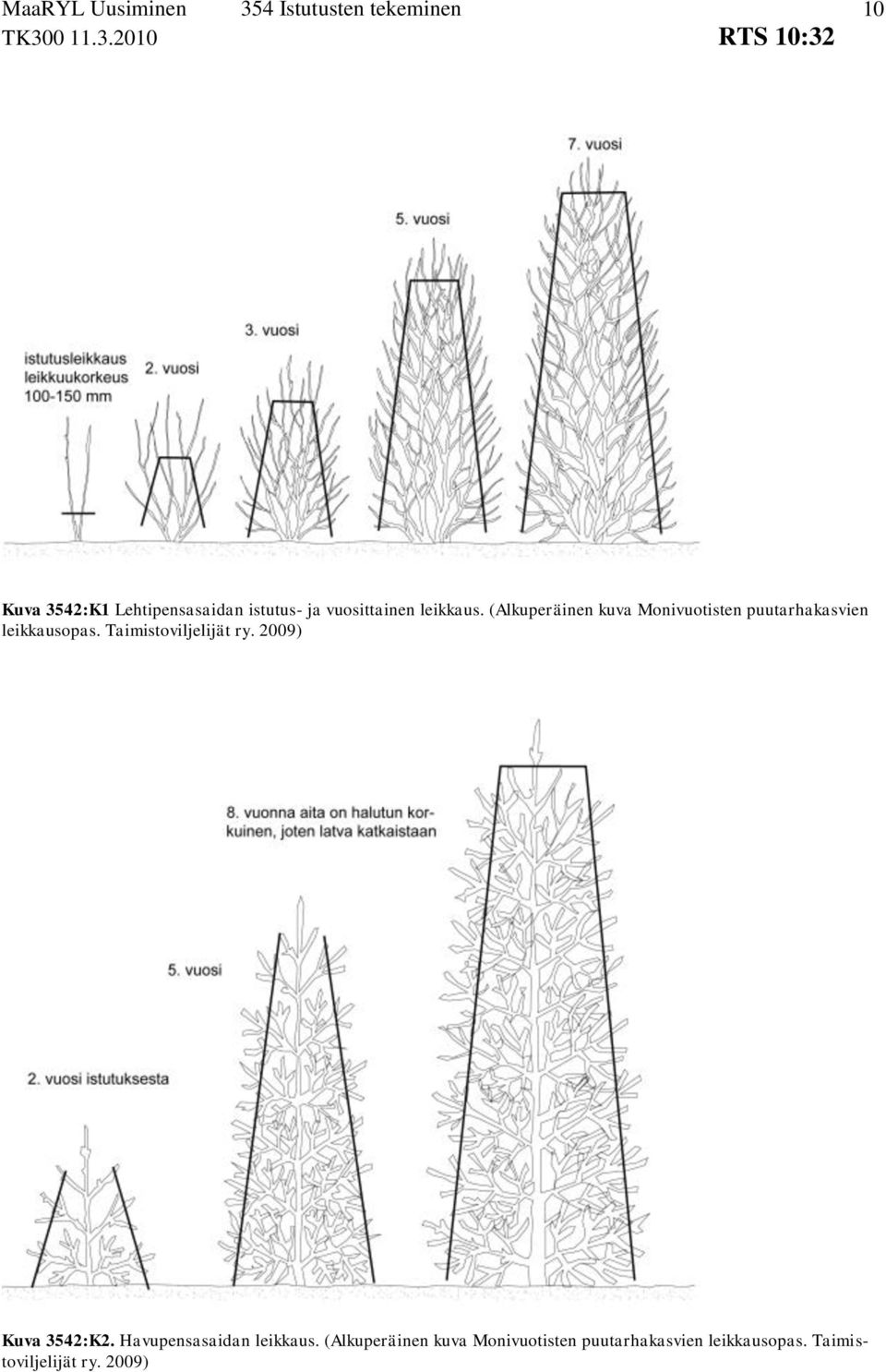 Taimistoviljelijät ry. 2009) Kuva 3542:K2. Havupensasaidan leikkaus.