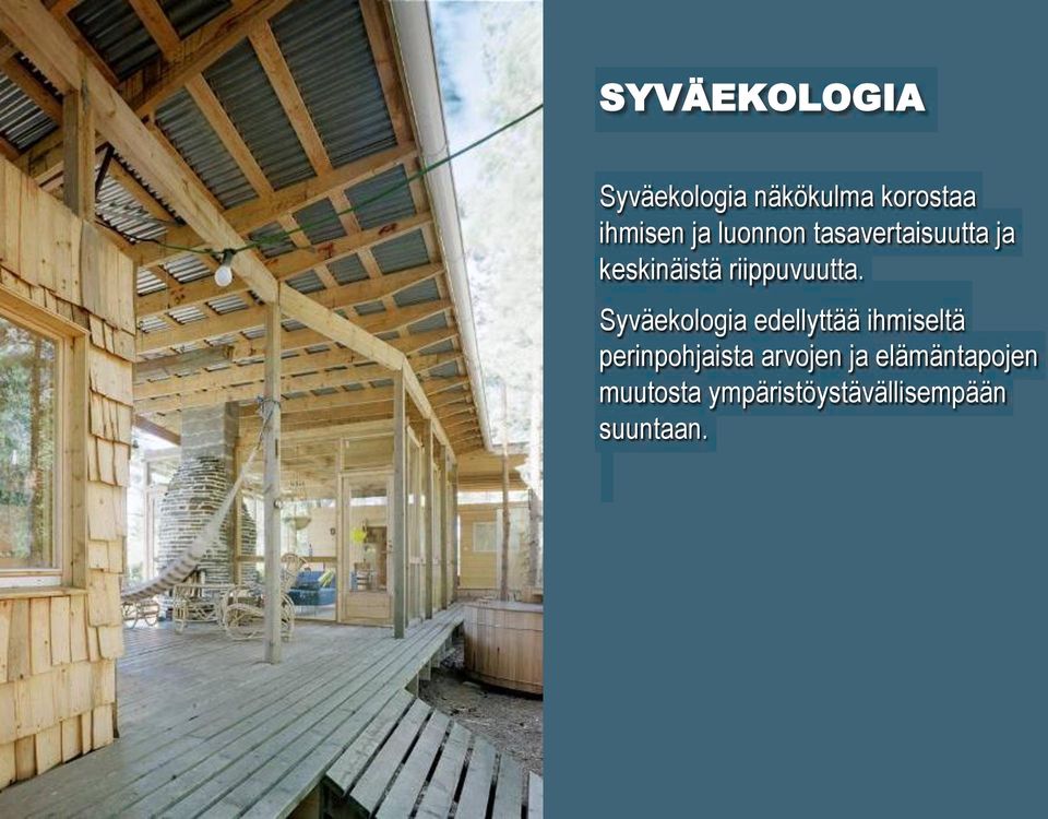 Syväekologia edellyttää ihmiseltä perinpohjaista arvojen