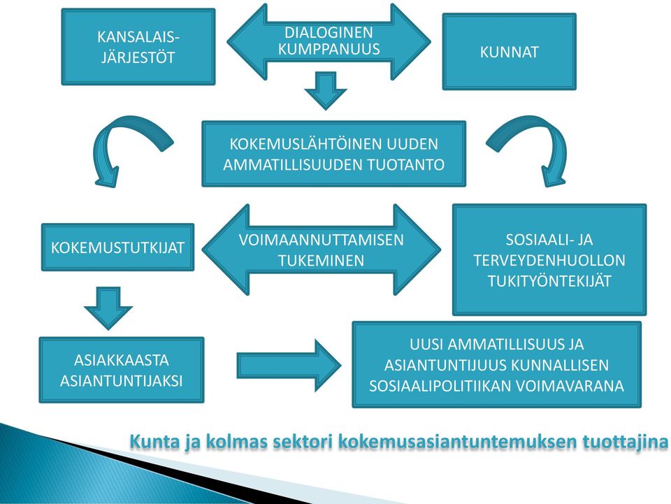 TUKITYÖNTEKIJÄT ASIAKKAASTA ASIANTUNTIJAKSI UUSI AMMATILLISUUS JA ASIANTUNTIJUUS