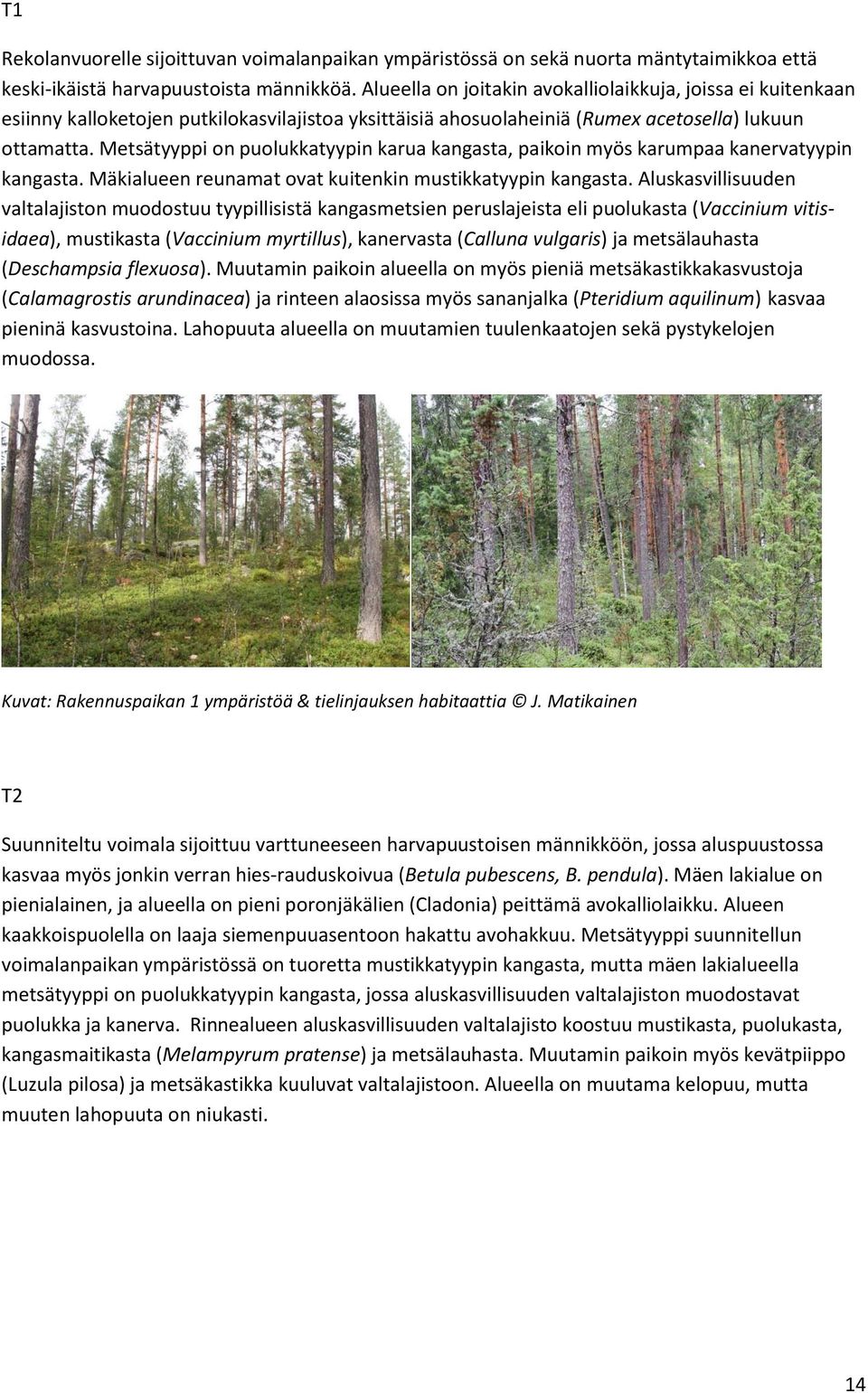 Metsätyyppi on puolukkatyypin karua kangasta, paikoin myös karumpaa kanervatyypin kangasta. Mäkialueen reunamat ovat kuitenkin mustikkatyypin kangasta.
