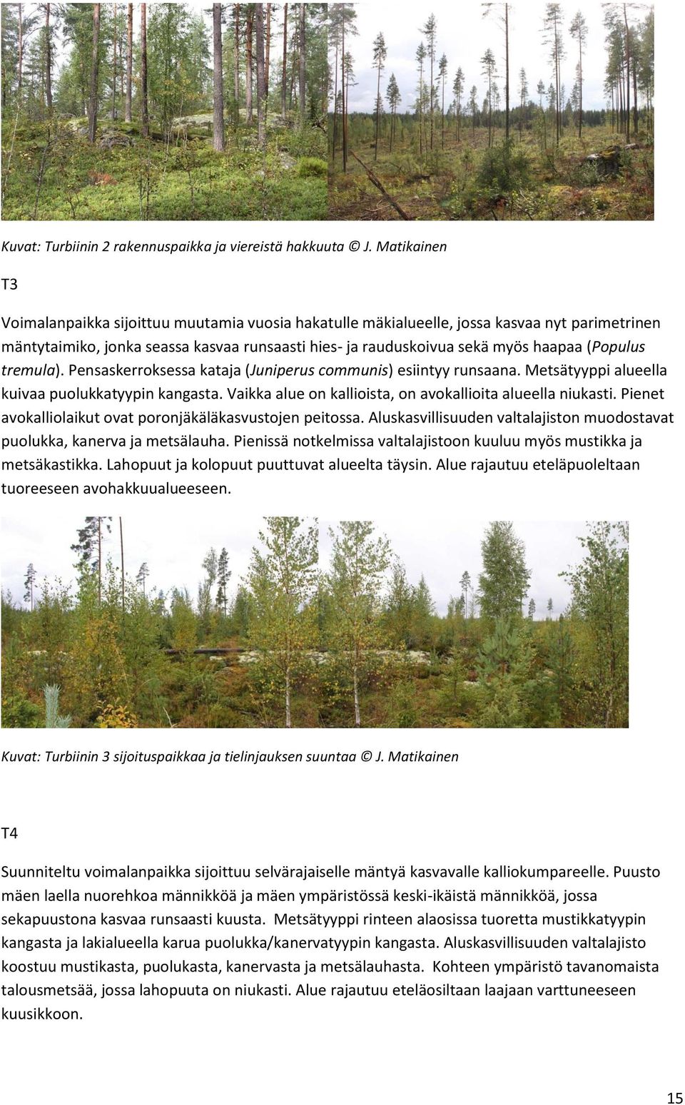 (Populus tremula). Pensaskerroksessa kataja (Juniperus communis) esiintyy runsaana. Metsätyyppi alueella kuivaa puolukkatyypin kangasta. Vaikka alue on kallioista, on avokallioita alueella niukasti.