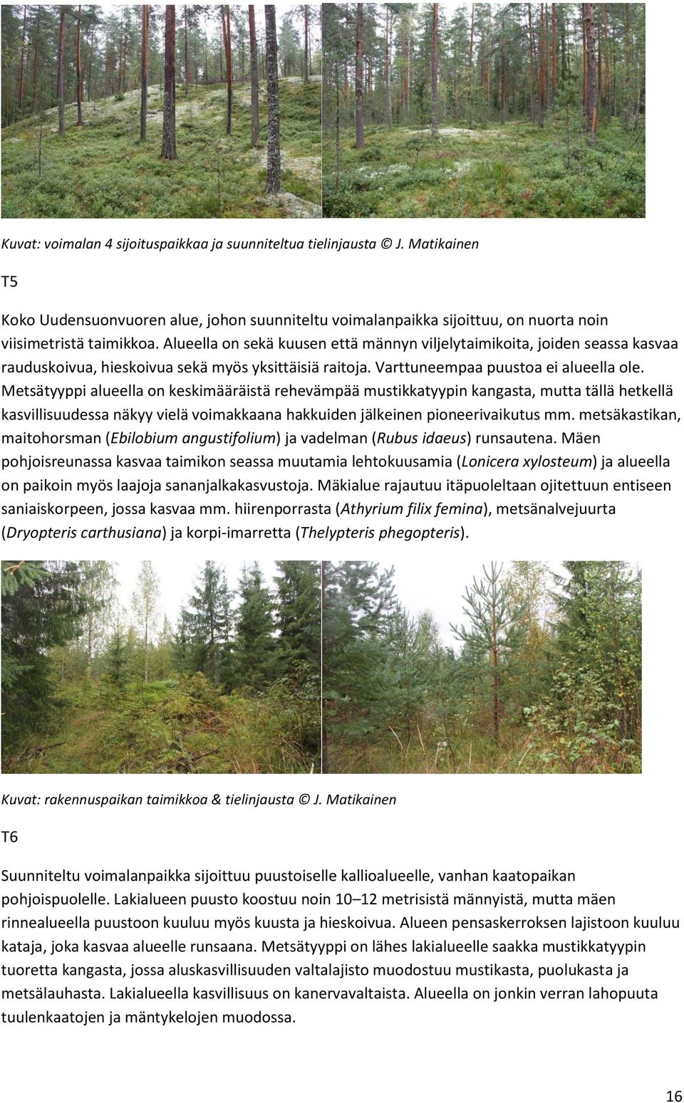 Metsätyyppi alueella on keskimääräistä rehevämpää mustikkatyypin kangasta, mutta tällä hetkellä kasvillisuudessa näkyy vielä voimakkaana hakkuiden jälkeinen pioneerivaikutus mm.