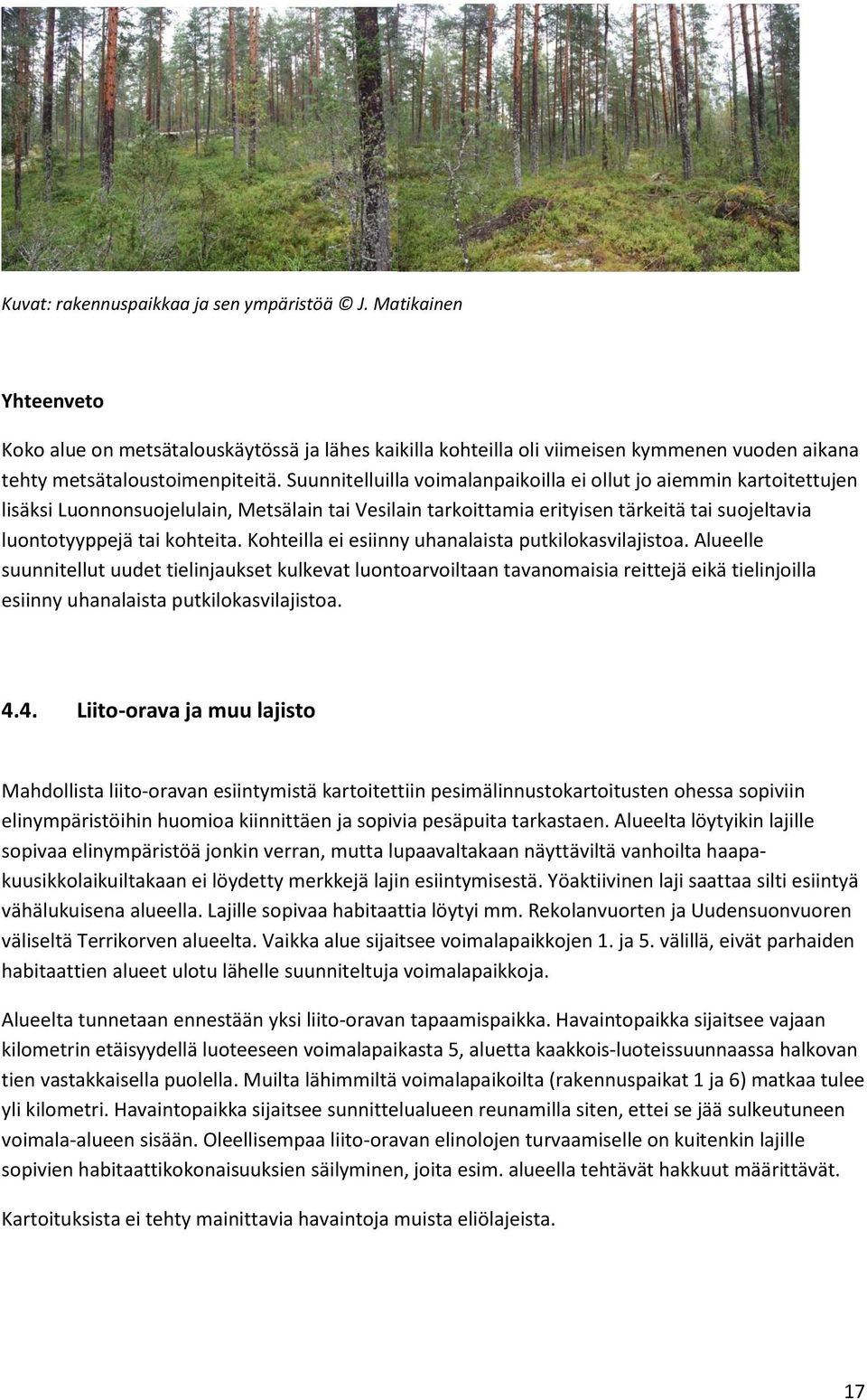 Kohteilla ei esiinny uhanalaista putkilokasvilajistoa.