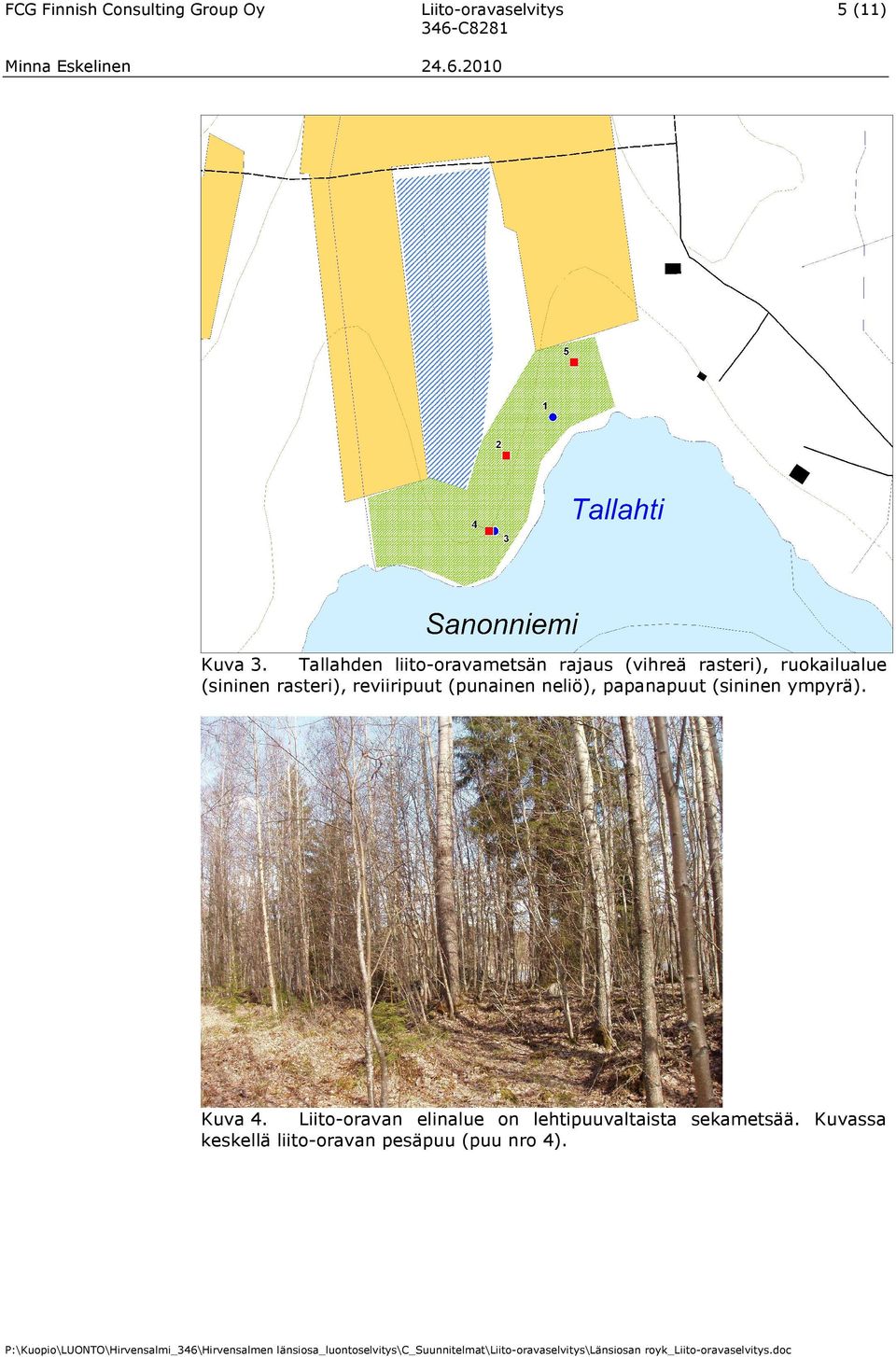 rasteri), reviiripuut (punainen neliö), papanapuut (sininen ympyrä). Kuva 4.