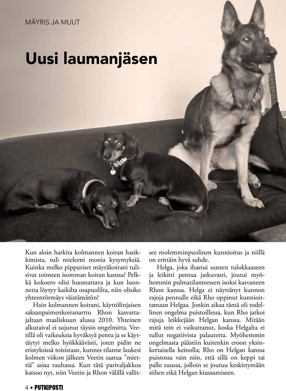 Hain kolmannen koirani, käyttölinjaisen saksanpaimenkoiranarttu Rhon kasvattajaltaan maaliskuun alussa 2010. Yhteinen alkutaival ei sujunut täysin ongelmitta.