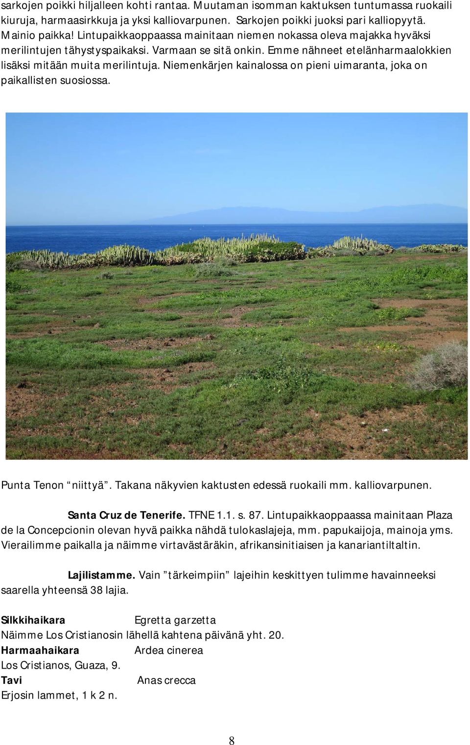 Niemenkärjen kainalossa on pieni uimaranta, joka on paikallisten suosiossa. Punta Tenon niittyä. Takana näkyvien kaktusten edessä ruokaili mm. kalliovarpunen. Santa Cruz de Tenerife. TFNE 1.1. s. 87.