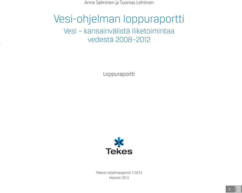 kansainvälistä liiketoimintaa vedestä 2008