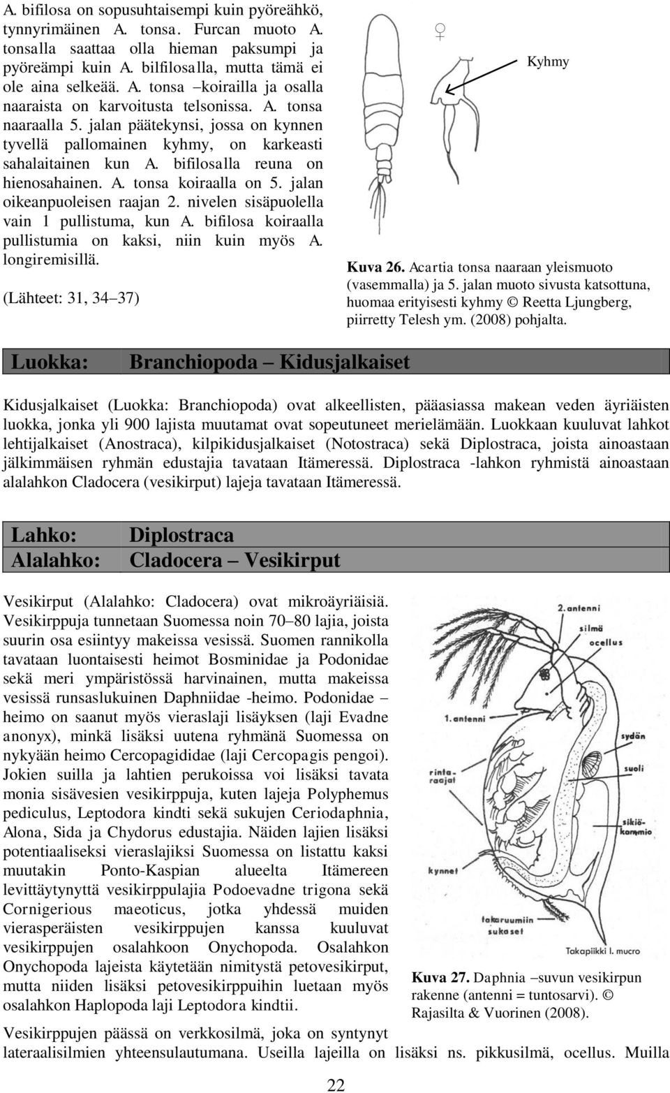 jalan oikeanpuoleisen raajan 2. nivelen sisäpuolella vain 1 pullistuma, kun A. bifilosa koiraalla pullistumia on kaksi, niin kuin myös A. longiremisillä. (Lähteet: 31, 34 37) Kyhmy Kuva 26.