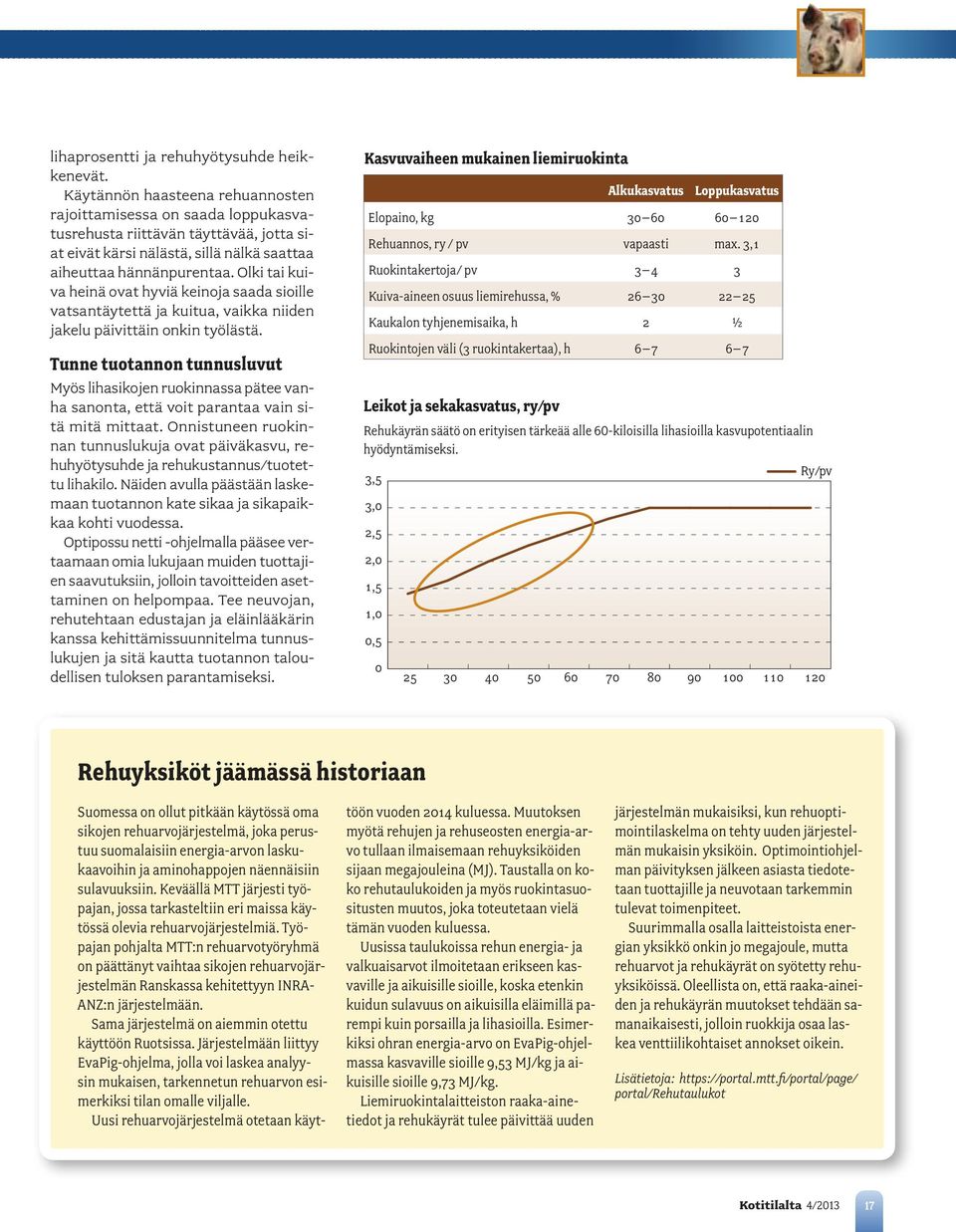 Olki tai kuiva heinä ovat hyviä keinoja saada sioille vatsantäytettä ja kuitua, vaikka niiden jakelu päivittäin onkin työlästä.