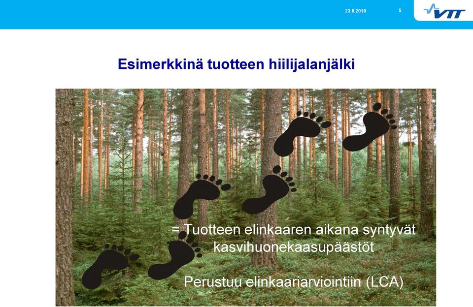 elinkaaren aikana syntyvät