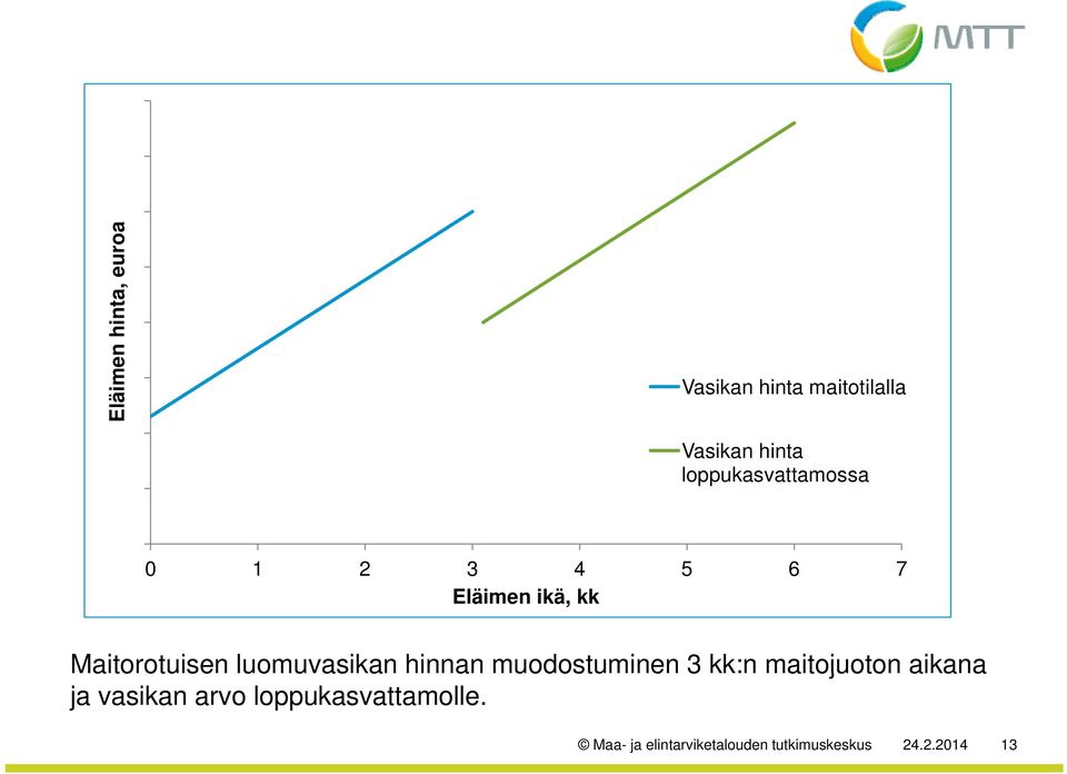 luomuvasikan hinnan muodostuminen 3 kk:n maitojuoton aikana ja vasikan