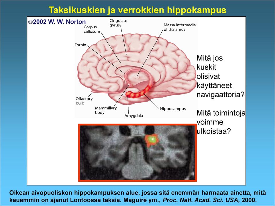 Mitä toimintoja voimme ulkoistaa?