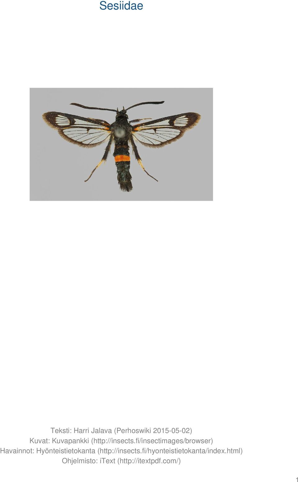 fi/insectimages/browser) Havainnot: Hyönteistietokanta