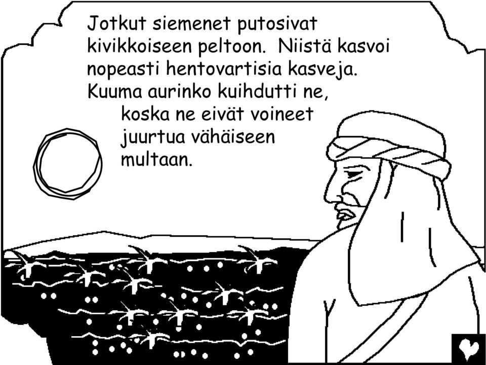 Niistä kasvoi nopeasti hentovartisia