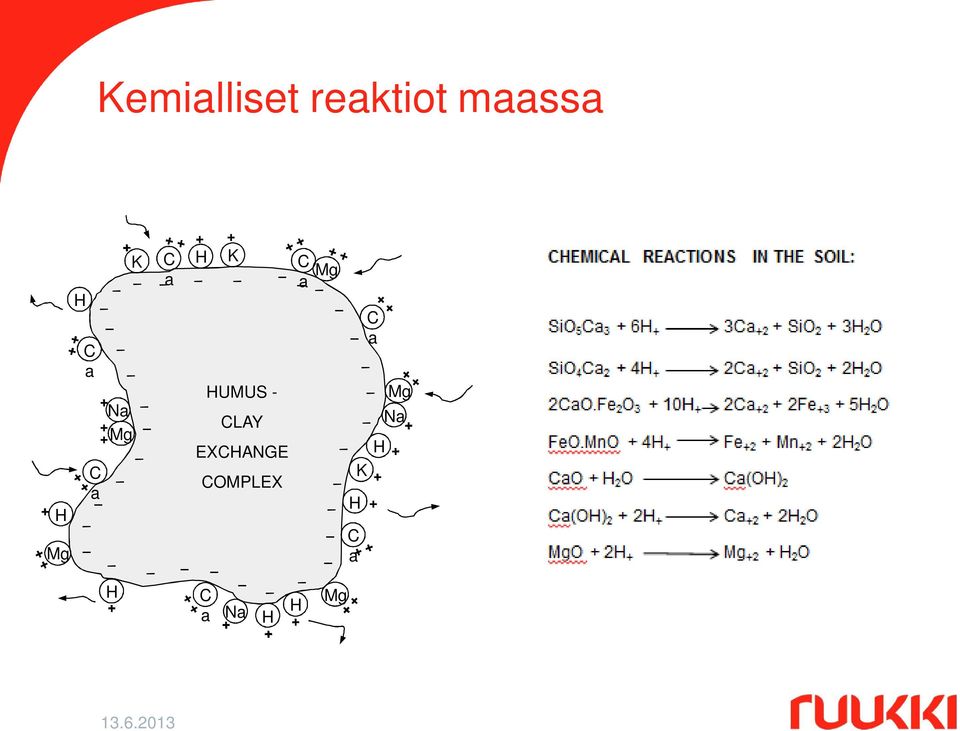 HUMUS - CLAY EXCHANGE COMPLEX C a