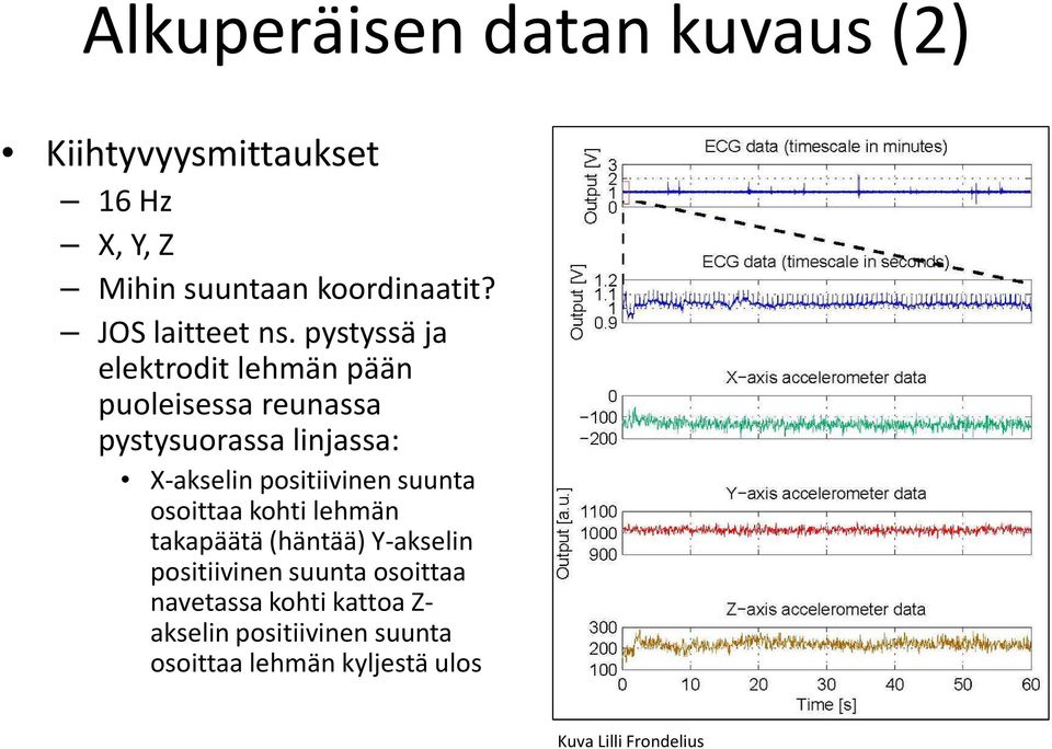pystyssä ja elektrodit lehmän pään puoleisessa reunassa pystysuorassa linjassa: X-akselin