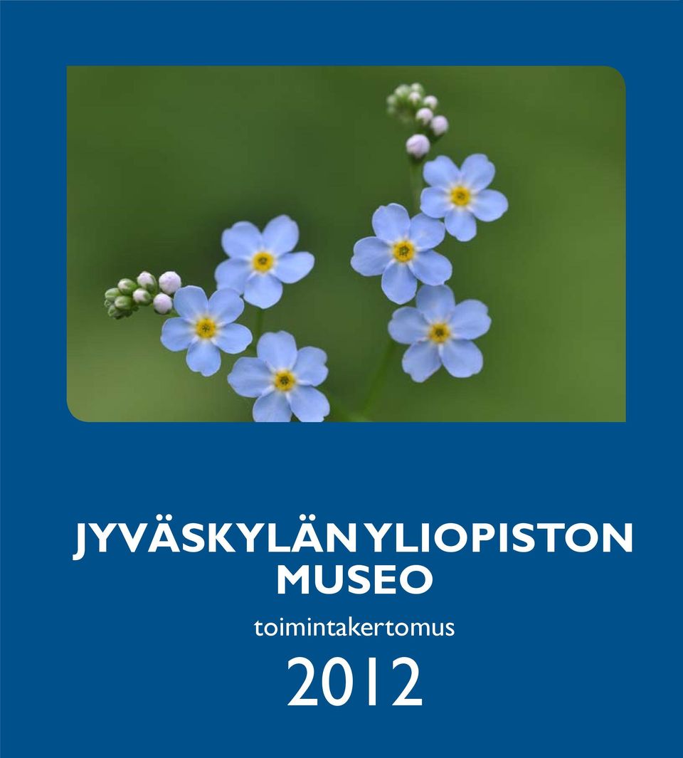 MUSEO