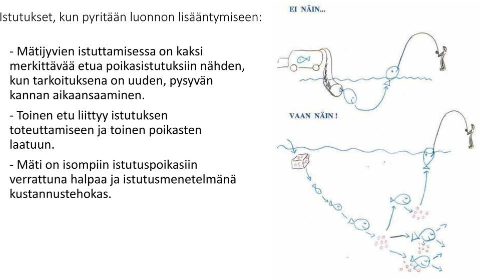 aikaansaaminen.