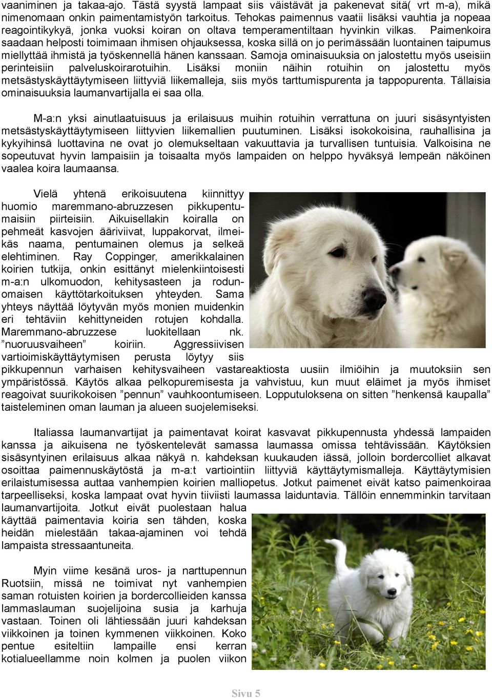 Paimenkoira saadaan helposti toimimaan ihmisen ohjauksessa, koska sillä on jo perimässään luontainen taipumus miellyttää ihmistä ja työskennellä hänen kanssaan.