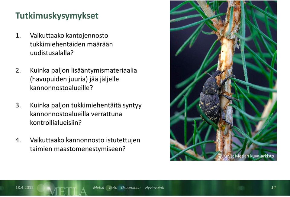 Kuinka paljon tukkimiehentäitä syntyy kannonnostoalueilla verrattuna kontrollialueisiin? 4.