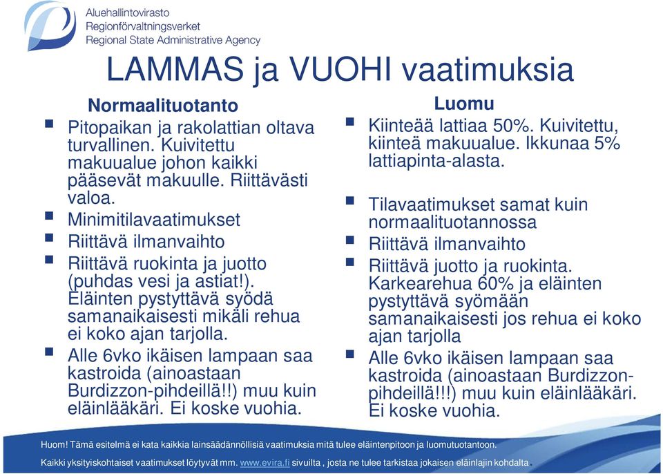 Alle 6vko ikäisen lampaan saa kastroida (ainoastaan Burdizzon-pihdeillä!!) muu kuin eläinlääkäri. Ei koske vuohia. Luomu Kiinteää lattiaa 50%. Kuivitettu, kiinteä makuualue.