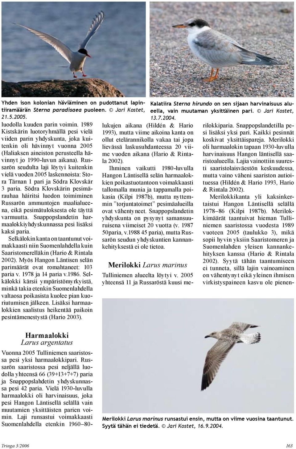 Russarön seudulta laji löytyi kuitenkin vielä vuoden 2005 laskennoista: Stora Tärnan 1 pari ja Södra Klovskär 3 paria.