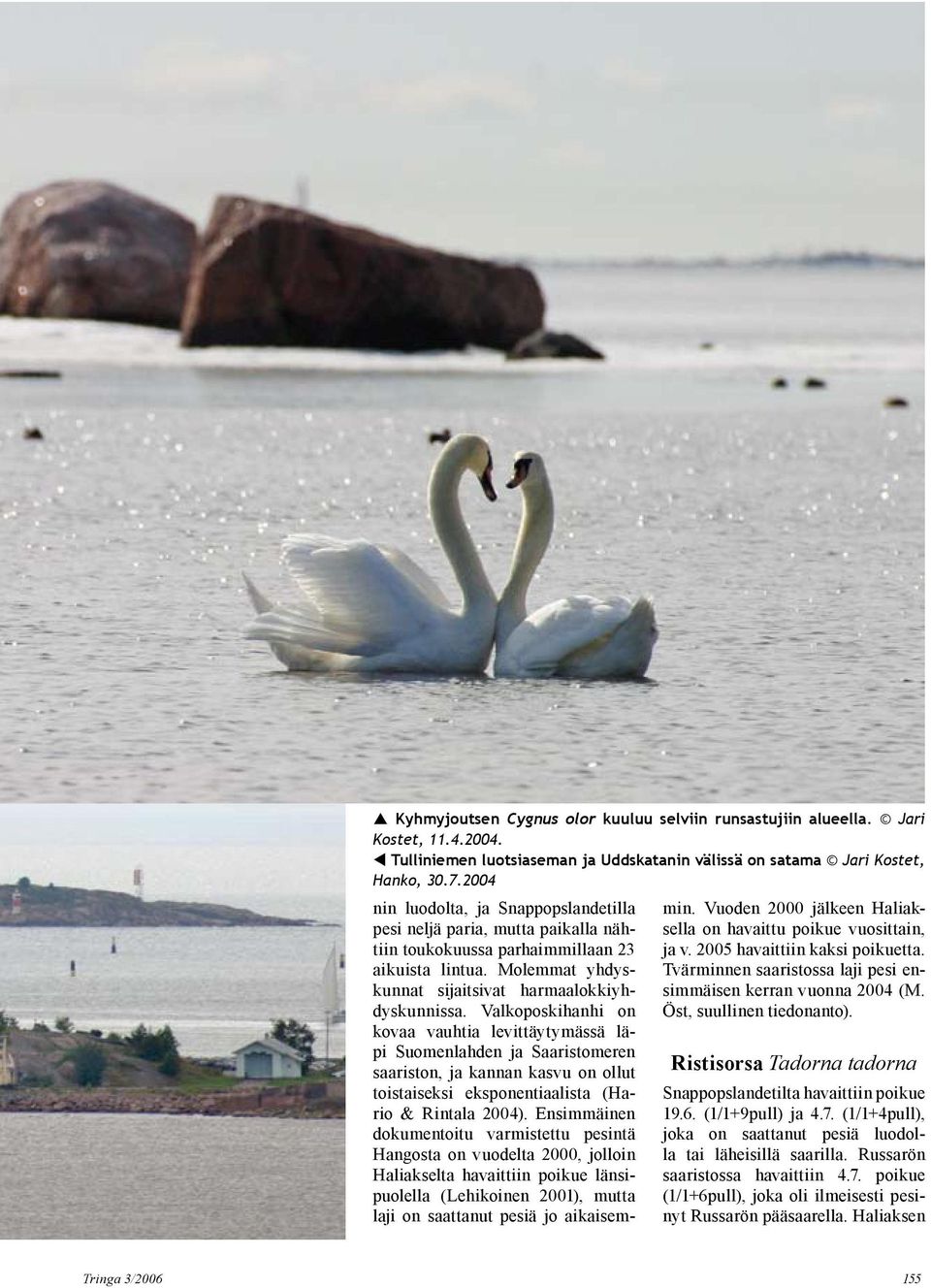Valkoposkihanhi on kovaa vauhtia levittäytymässä läpi Suomenlahden ja Saaristomeren saariston, ja kannan kasvu on ollut toistaiseksi eksponentiaalista (Hario & Rintala 2004).