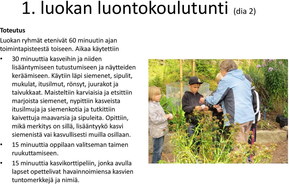 Käytiin läpi siemenet, sipulit, mukulat, itusilmut, rönsyt, juurakot ja taivukkaat.