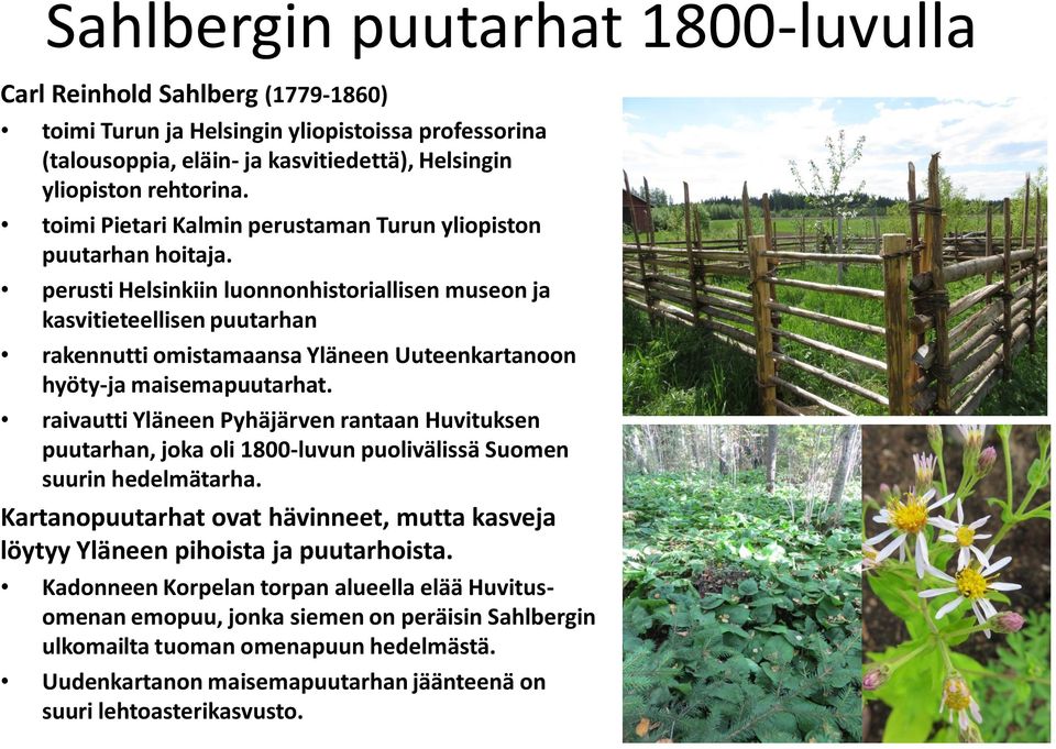 perusti Helsinkiin luonnonhistoriallisen museon ja kasvitieteellisen puutarhan rakennutti omistamaansa Yläneen Uuteenkartanoon hyöty-ja maisemapuutarhat.