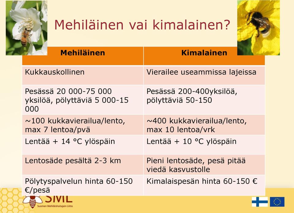 lentoa/pvä Lentää + 14 C ylöspäin Lentosäde pesältä 2-3 km Pölytyspalvelun hinta 60-150 /pesä Kimalainen Vierailee