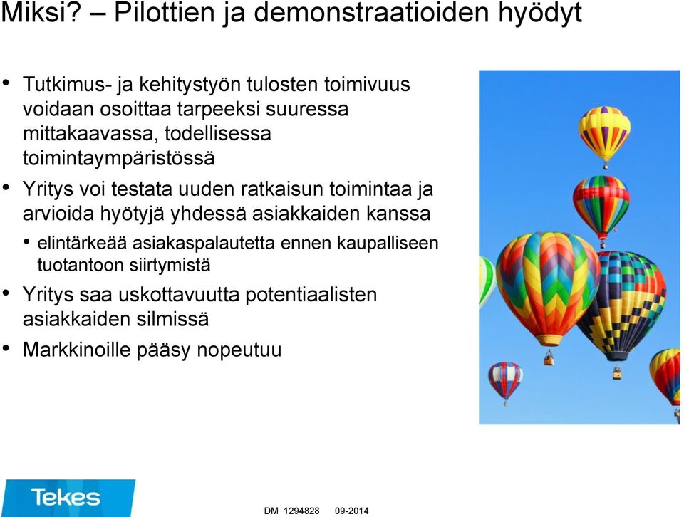 suuressa mittakaavassa, todellisessa toimintaympäristössä Yritys voi testata uuden ratkaisun toimintaa ja