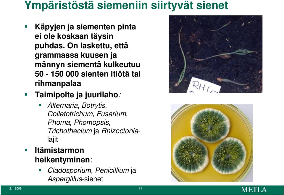 rihmanpalaa Taimipolte ja juurilaho: Alternaria, Botrytis, Colletotrichum, Fusarium, Phoma, Phomopsis,