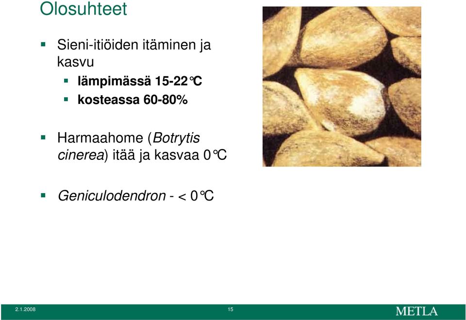 60-80% Harmaahome (Botrytis cinerea)