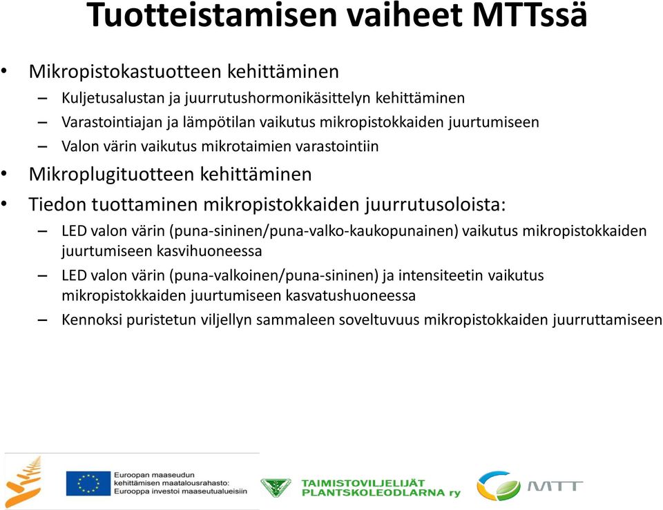 juurrutusoloista: LED valon värin (puna-sininen/puna-valko-kaukopunainen) vaikutus mikropistokkaiden juurtumiseen kasvihuoneessa LED valon värin